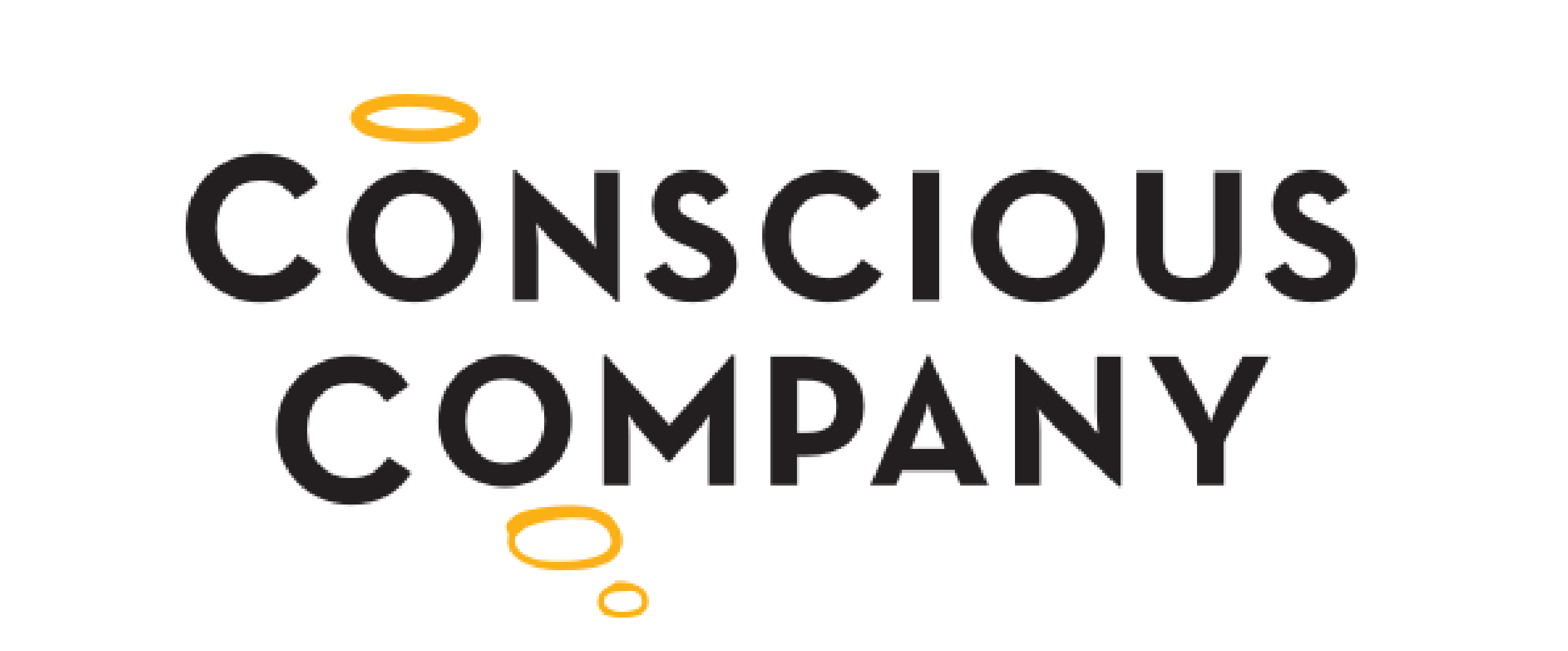 Conscious Company